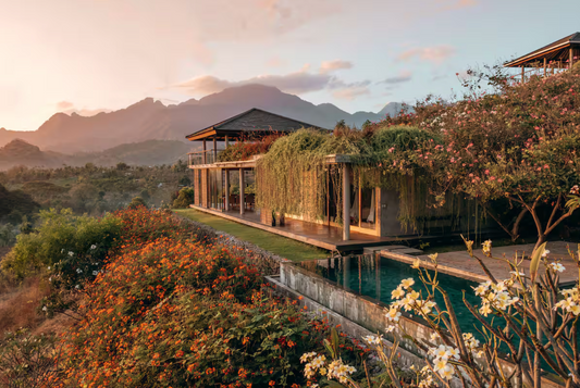 Painting in Paradise Deposit